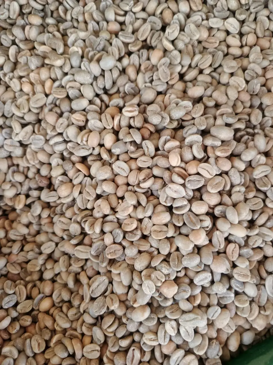 Java Ijen Arabica Natural Anaerob Specialty from Java Ijen