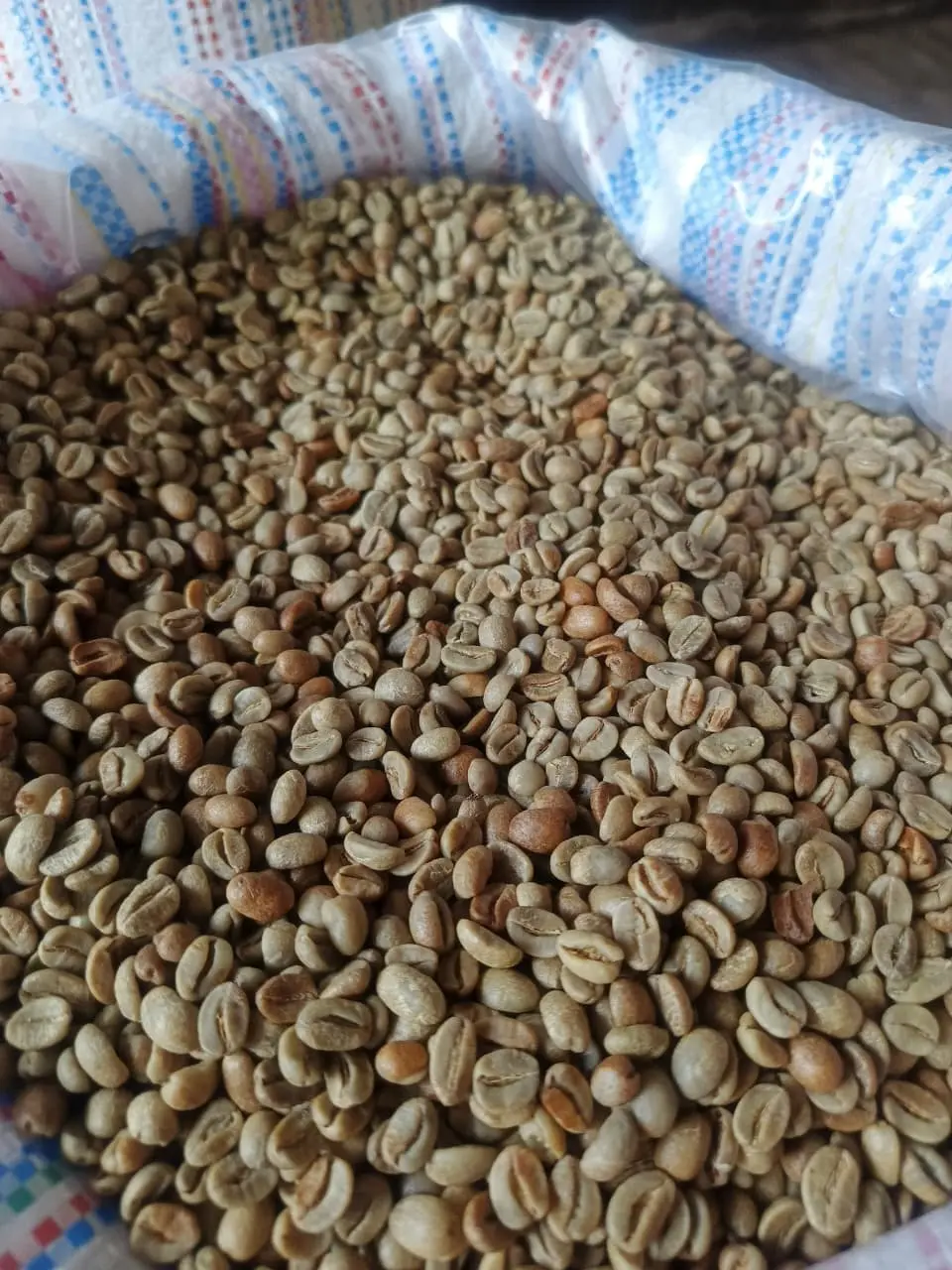 Java Ijen Arabica Natural Grade 1 from Java Ijen